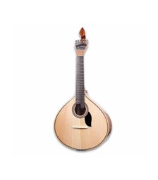 Mostrar produtos na categoria Guitarra Portuguesa Imagem por categoria Guitarra Portuguesa
