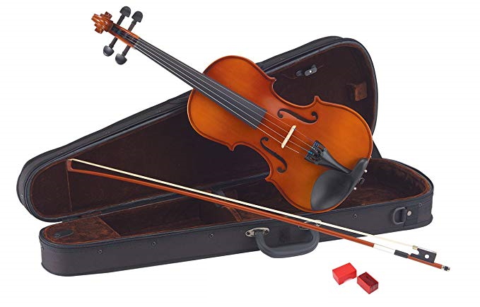 Imagem de Violino Carlo Giordano 4/4 VS144