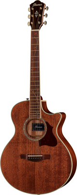 Imagem de Guitarra Acústica Ibanez AE245JR-OPN