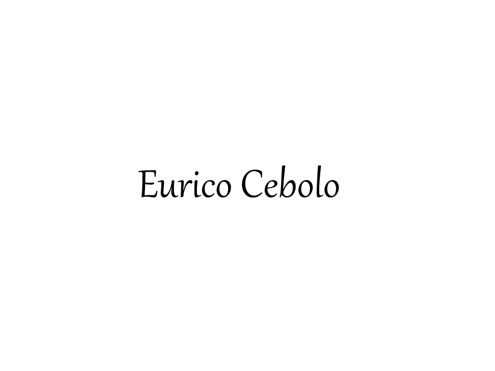 Imagem para fabricante CEBOLO