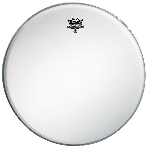 Imagem de Pele Remo Ambassador Hazy 14" SA-0114-00