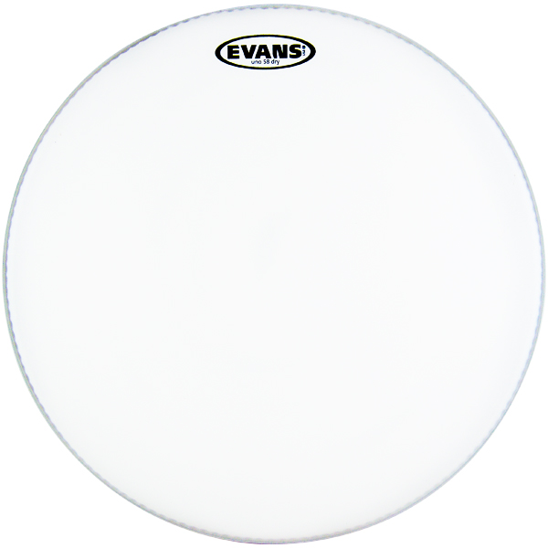 Imagem de Pele Evans B16W10 Coated 16" 1-Ply
