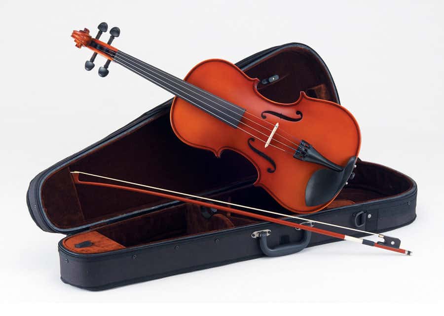 Imagem de Viola Carlo Giordano 14" VL114