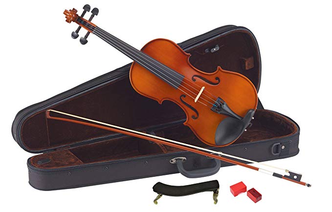 Imagem de Violino Carlo Giordano 1/2 VS112
