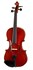 Imagem de Violino Stentor SR1550 Conservatoire 4/4, Imagem 1