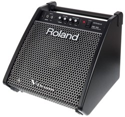 Imagem de Monitor Amplificado 10" Roland PM-100